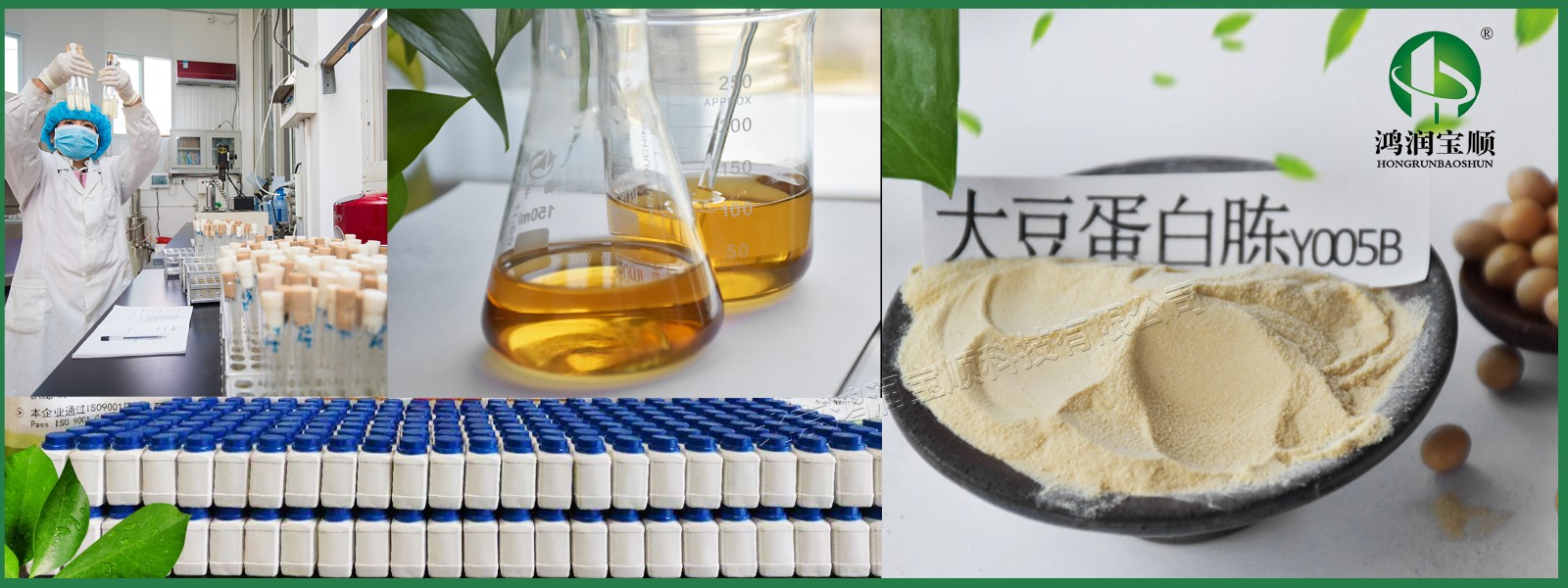 鸿润宝顺大豆蛋白胨在保健食品中的应用与健康价值